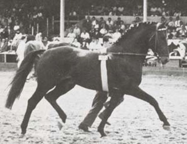 Aldato