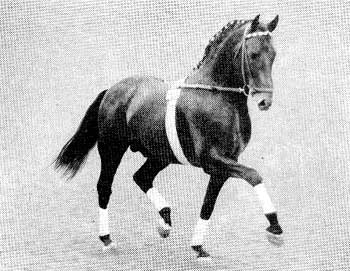 Aldato
