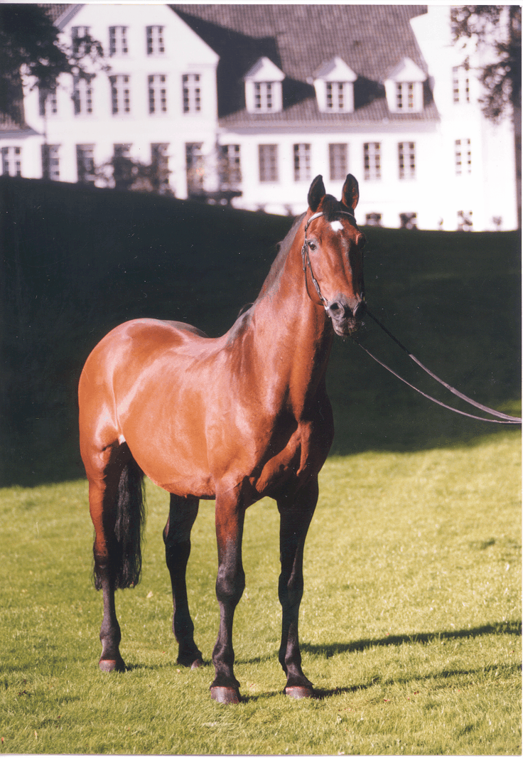 Caletto I