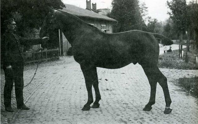 Favorit (Foto von 1918)