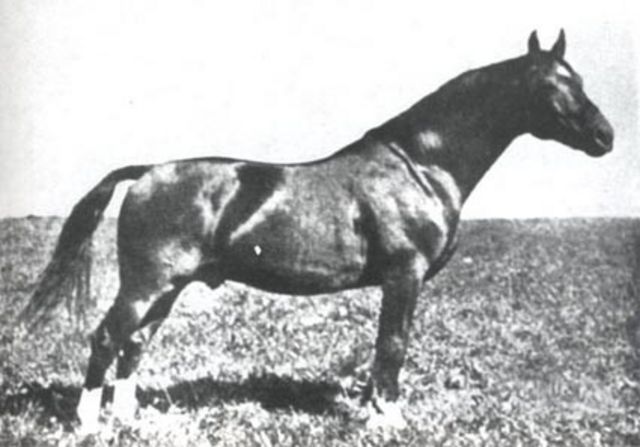 Loretto
