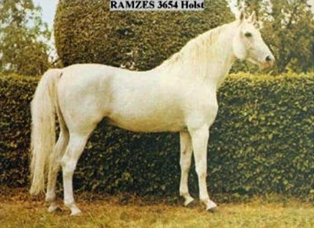 Ramzes