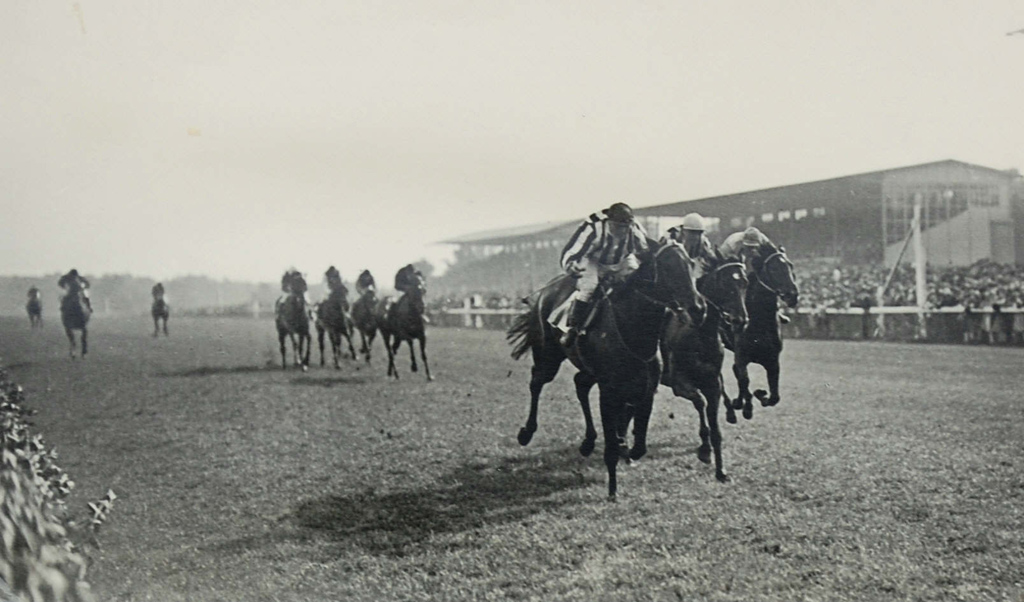 Antonia XX gewann 1929 den Preis der Diana