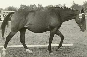 Warthburg