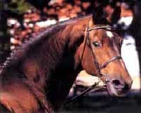 Caletto I